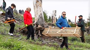 Baum-Paten im Einsatz: Die Wald-Retter sind  Biathlon-Fans